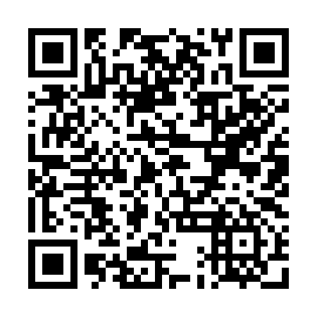 QR code for plate TAI 397