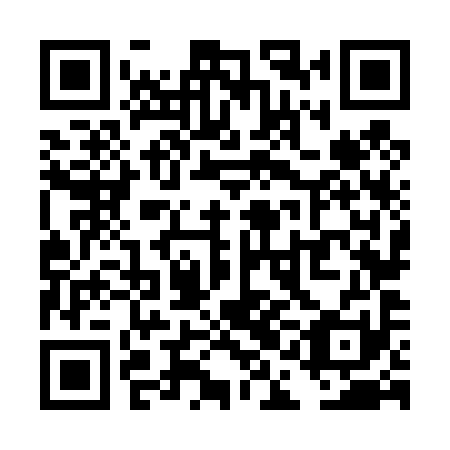 QR code for plate TAN 491