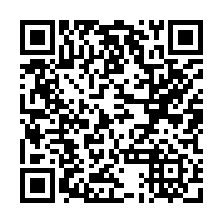 QR code for TAO 919