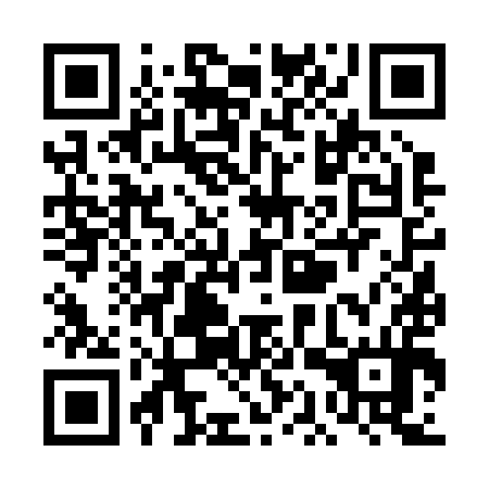 QR code for TAV294