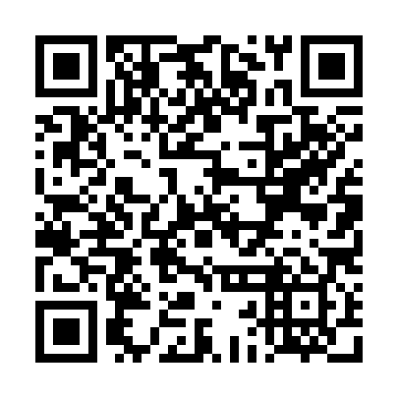 QR code for plate TBD 389