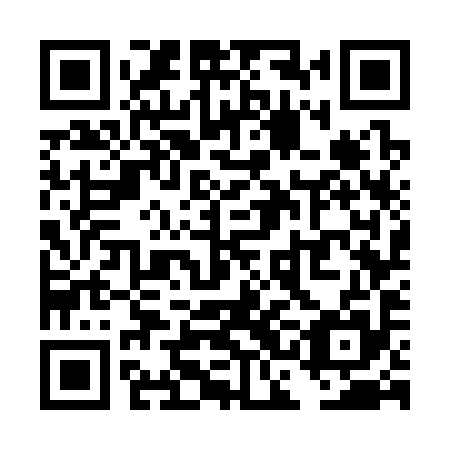 QR code for plate TCG 395