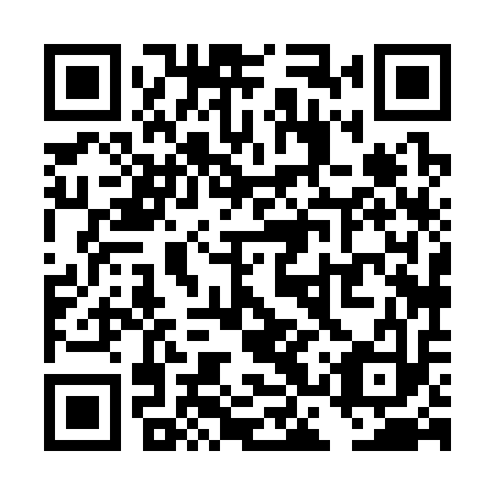 QR code for plate TCX 313