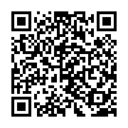 QR code for TDD038