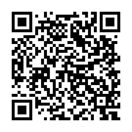 QR code for TDG 593