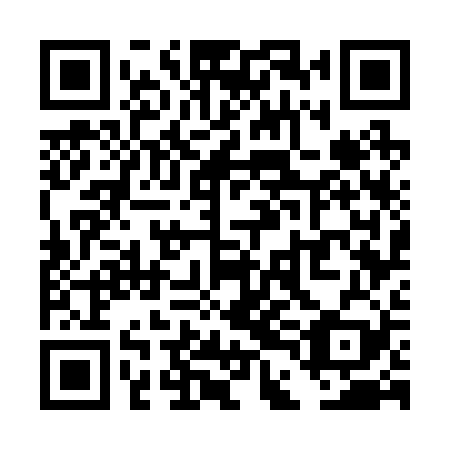 QR code for plate TDG 229