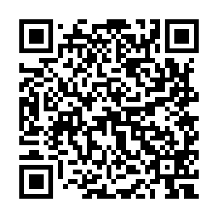 QR code for TDG999