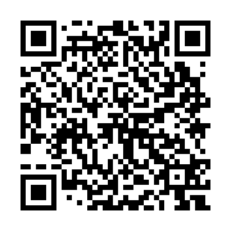 QR code for TDI 320
