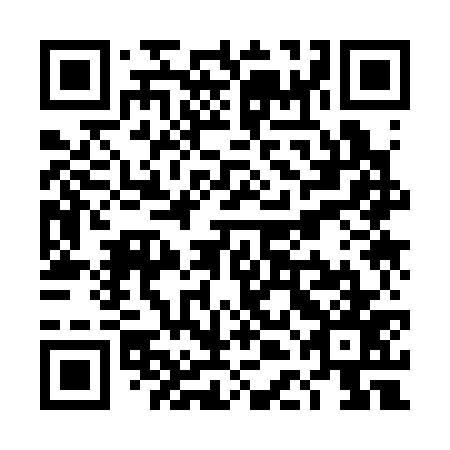 QR code for TDK 377