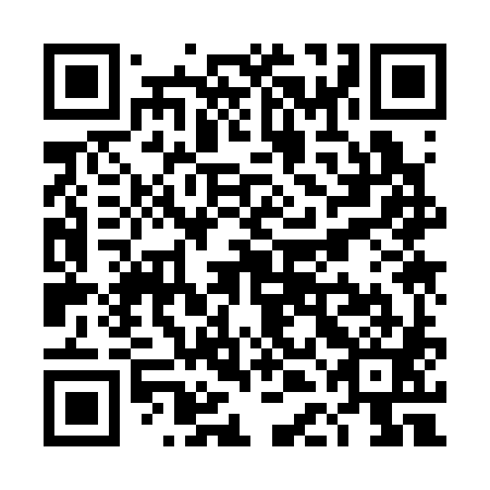 QR code for TDK381