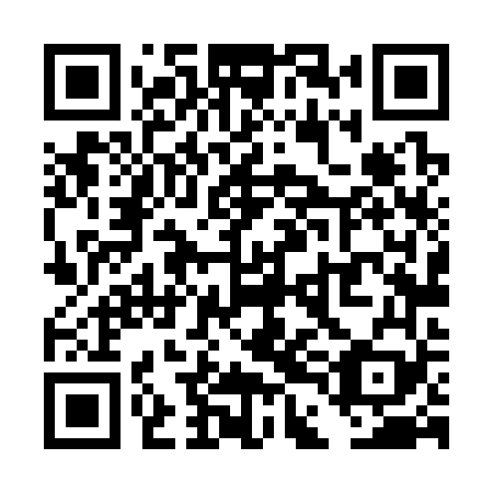 QR code for TDL 369