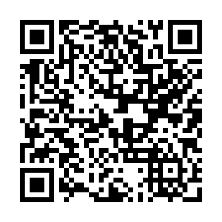 QR code for TDL384
