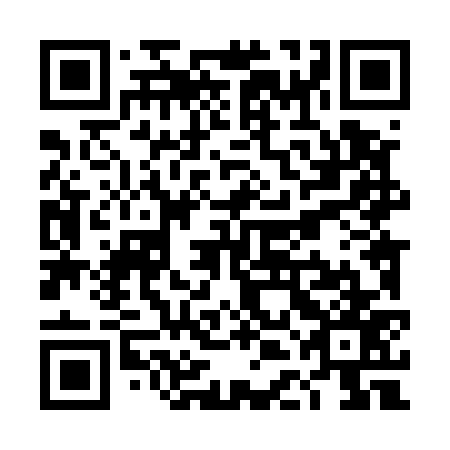 QR code for plate TDL 577