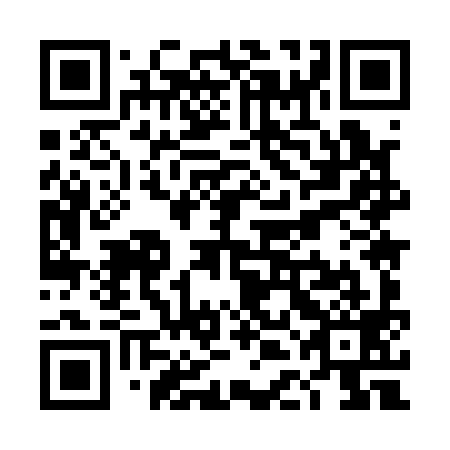 QR code for plate TDM 199