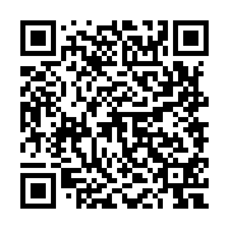 QR code for plate TDN 910