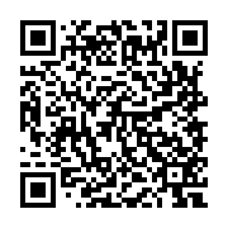 QR code for TDN953
