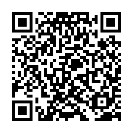 QR code for TDV 295