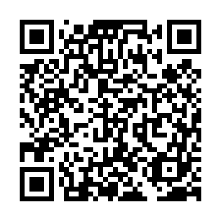 QR code for TEE 463