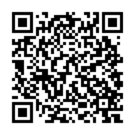 QR code for plate TEF 307