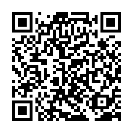 QR code for plate TEM 919
