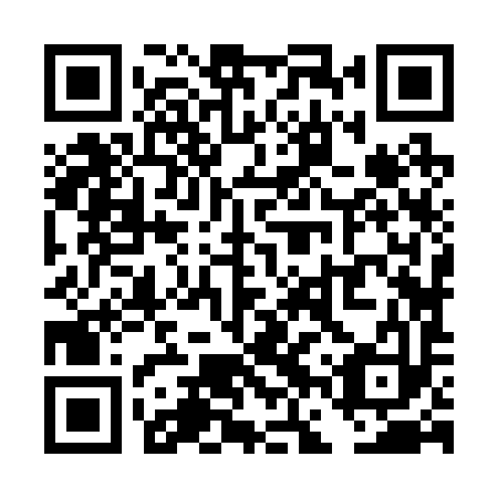 QR code for plate TFZ 293