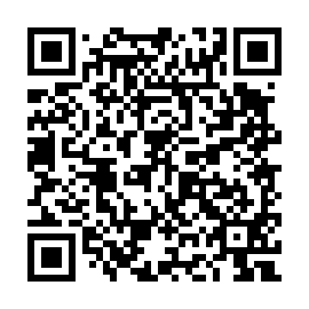 QR code for plate TGP 491