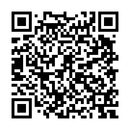 QR code for TGX 411
