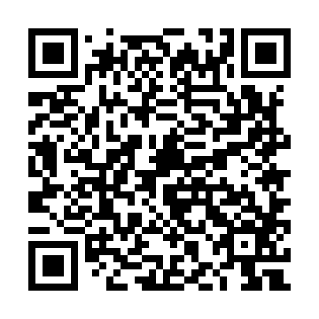 QR code for plate THE 986