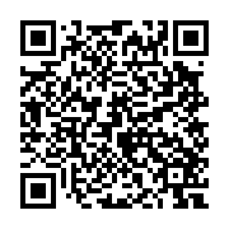 QR code for plate THG 046