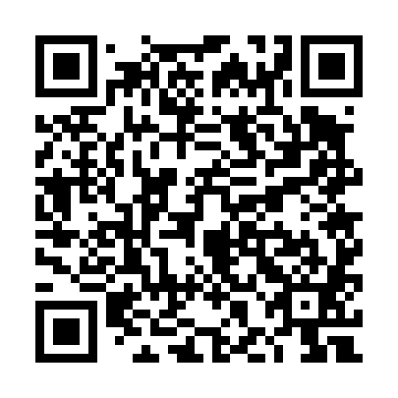 QR code for THG481
