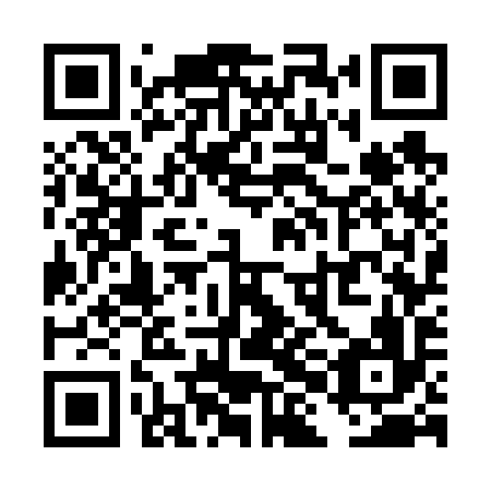 QR code for plate THG 696