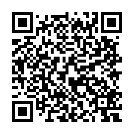 QR code for THI 509