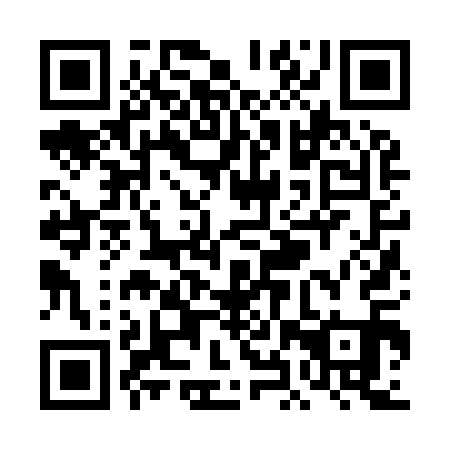 QR code for THZ911