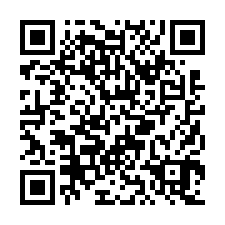 QR code for plate TIB 600