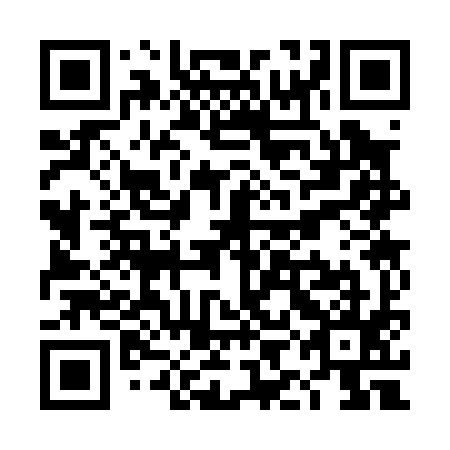QR code for TIC 095