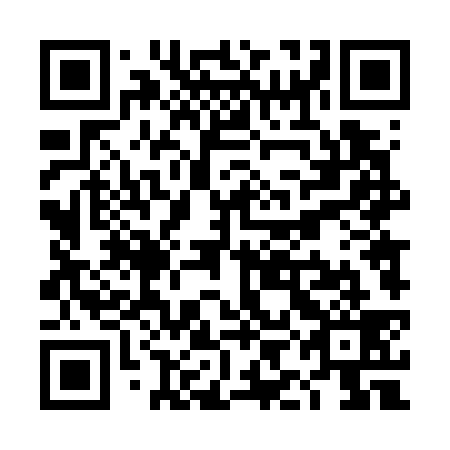 QR code for TID 739