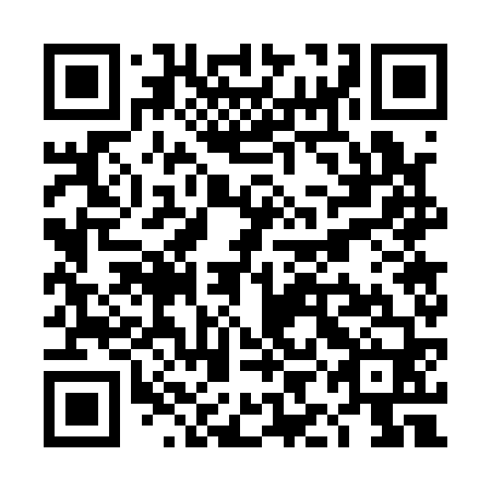 QR code for TIG 160