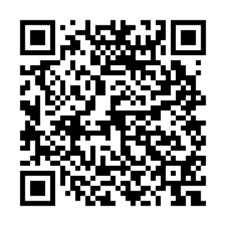 QR code for TIG 310