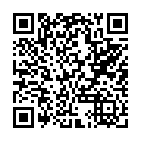 QR code for TIG 641