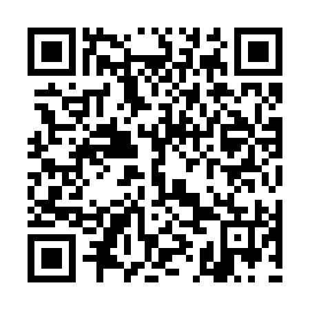 QR code for TII 295
