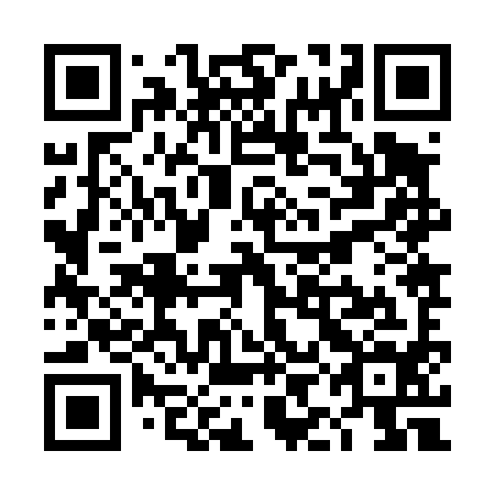 QR code for TIJ 494