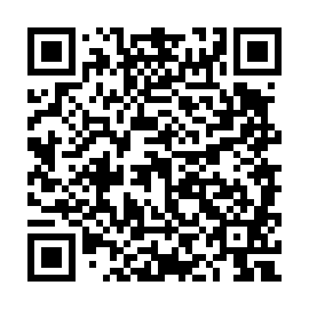 QR code for TIN481