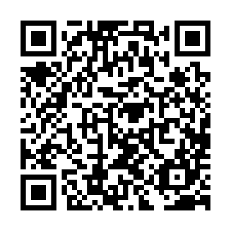 QR code for TIP 384