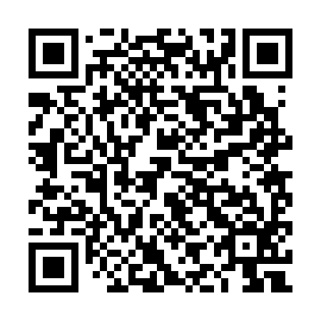 QR code for TIR 396