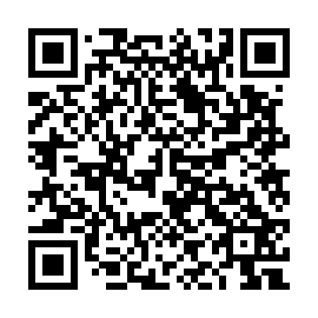 QR code for plate TIR 523
