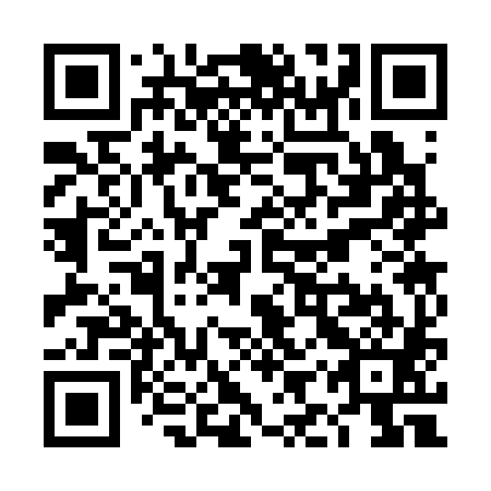 QR code for TIS 381