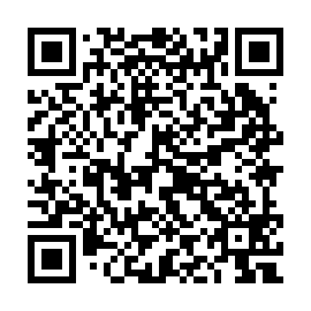 QR code for TIY 299