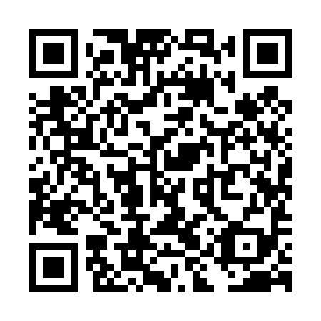 QR code for TIY 499