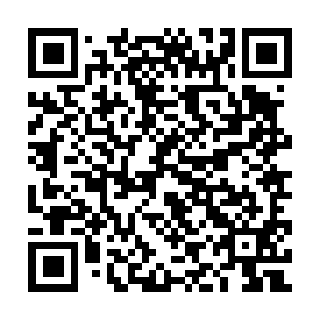QR code for TIZ 491