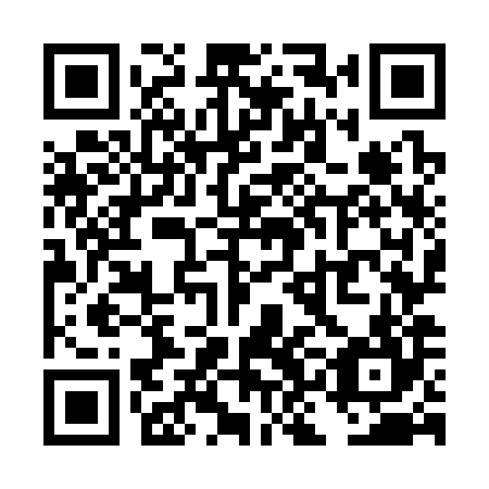 QR code for TKO 384